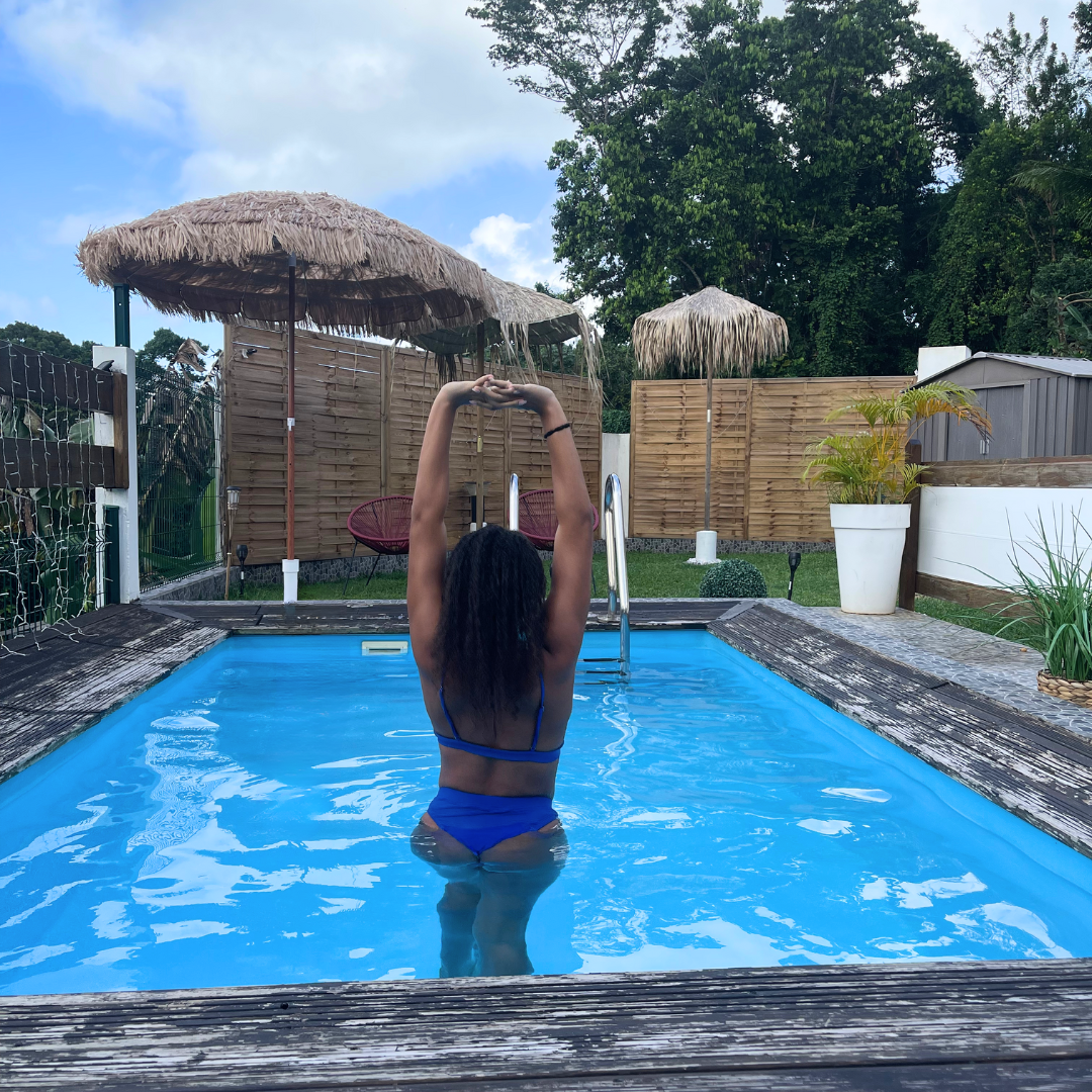 Cottage villa palmier les parasols de madinina - gros morne