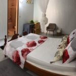 RED PALMER Parasols de madinina - gros morne - location saisonnière au gros morne -